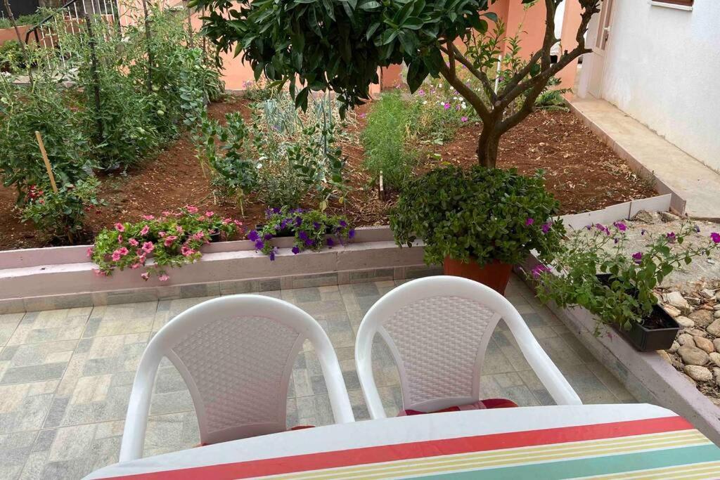Apartamento Manuel Korčula Exterior foto
